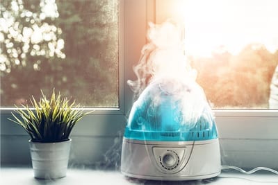 5 dicas para umidificar o ar da sua casa