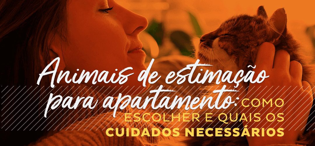 Animais de estimação para apartamento: Como escolher e quais os cuidados necessários